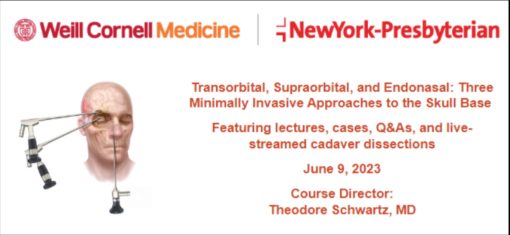 Transorbital, Supraorbital, and Endonasal