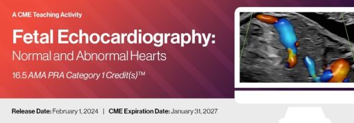 2024 Fetal Echocardiography: Normal and Abnormal Hearts (Videos)