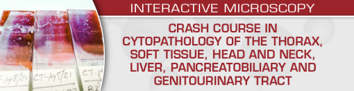 Crash Course in Cytopathology: Thorax, Soft Tissue, Head and Neck, Liver, Pancreatobiliary and Genitourinary Tract ? USCAP (Videos)