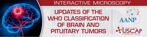 Updates of the WHO Classification of Brain and Pituitary Tumors 2024 ? USCAP (Videos)