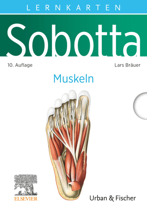 Sobotta Lernkarten Muskeln, 10th Edition (Original PDF from Publisher)